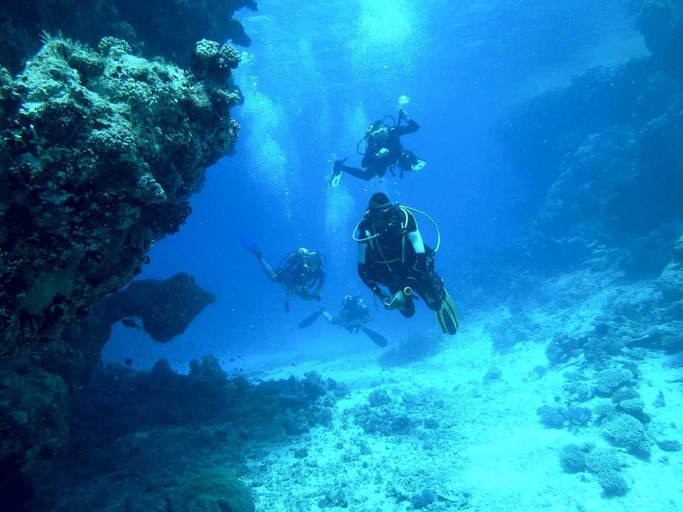 在巴厘岛潜水